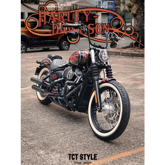 HARLEY DAVIDSON - TEM THIẾT KẾ